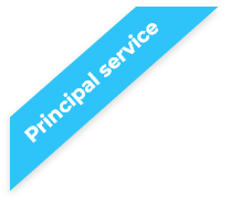 Principal Service